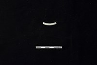 陶環藏品圖，第2張